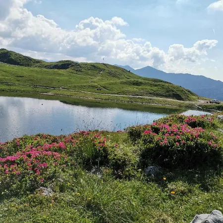 Apartment Guetl Plank *